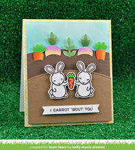 Load image into Gallery viewer, some bunny