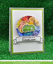 Load image into Gallery viewer, one in a chameleon

