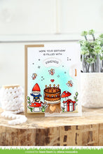 Load image into Gallery viewer, birthday before 'n afters
